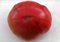 Tomate Frucht