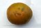 Tomate Frucht