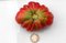 Tomate Frucht