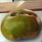 Tomate Frucht