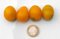Tomate Frucht