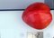 Tomate Fruchtgewicht