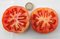 Tomate quergeschnitten