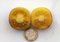 Tomate quergeschnitten