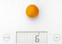 cerise_orange
